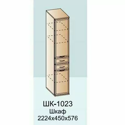 ШК-1023 Шкаф многоцелевой (АС)