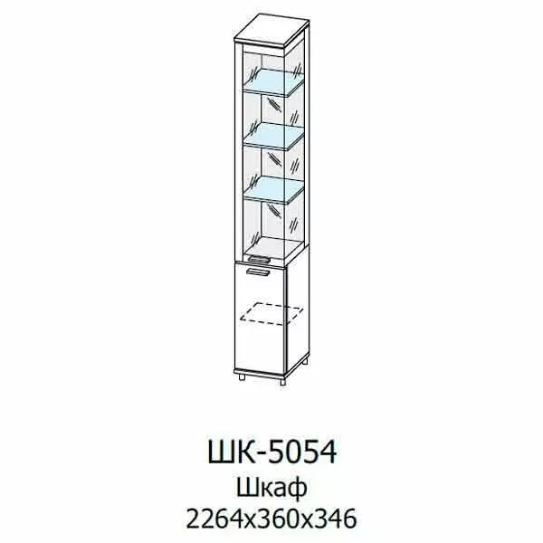 ШК-5054 Шкаф МЦН (ГС-БГ)