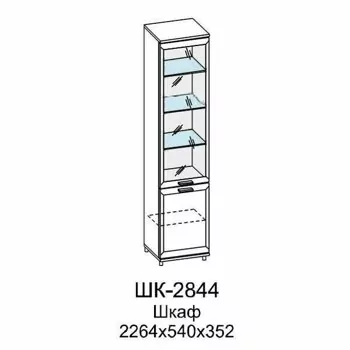 ШК-2844 Шкаф МЦН (ГС)