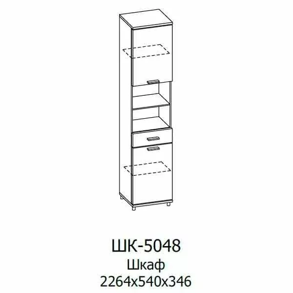 ШК-5048 Шкаф МЦН (СЯ-АМ)