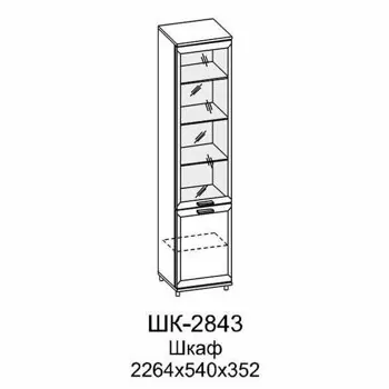 ШК-2843 Шкаф МЦН (СЯ)