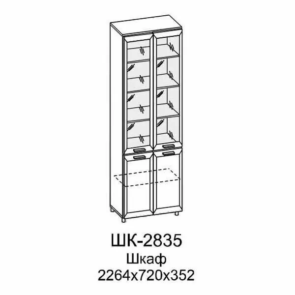 ШК-2835 Шкаф МЦН (АС)