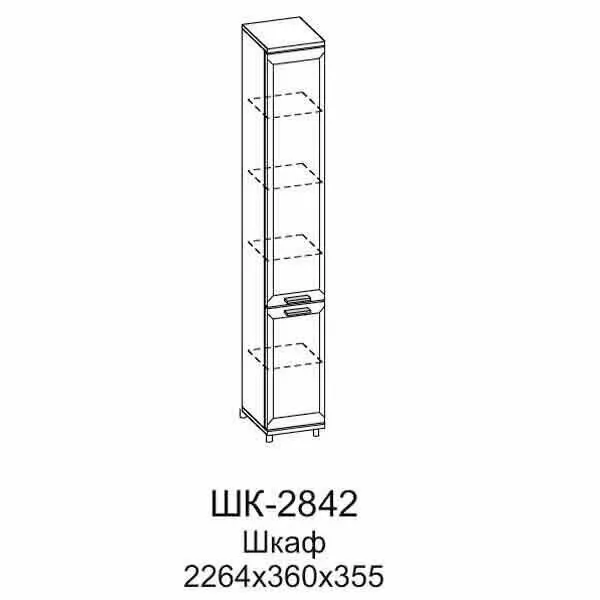 ШК-2842 Шкаф МЦН (СЯ)