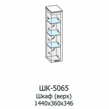 ШК-5065 Шкаф МЦН (ГТ-АМ)