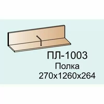 ПЛ-1003 Полка угловая (СК)