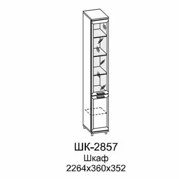 ШК-2857 Шкаф МЦН (АС-СЯ)