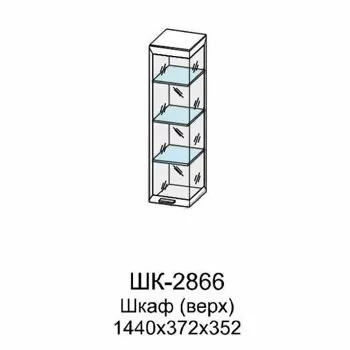 ШК-2866 Шкаф МЦН (СЯ)