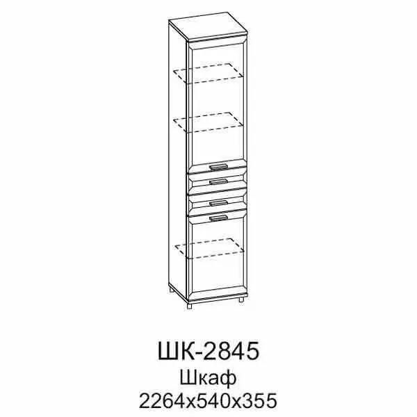 ШК-2845 Шкаф МЦН (СЯ)