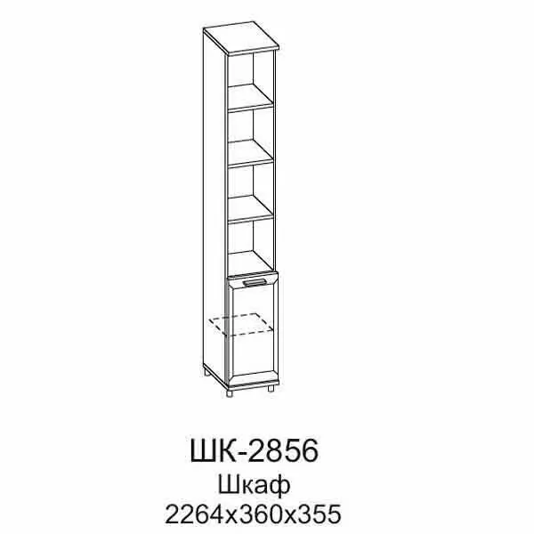 ШК-2856 Шкаф МЦН (СЯ)