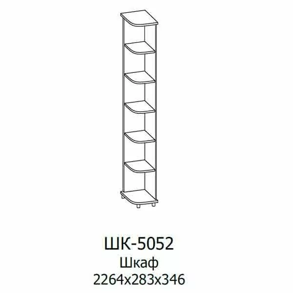 ШК-5052 Шкаф МЦН (СЯ)