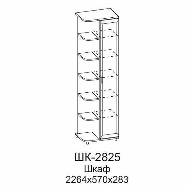 ШК-2825 Шкаф МЦН (ГС)